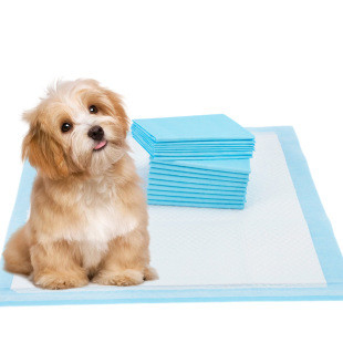 주문 반려동물 Pee Pad 원자재 PP 직물 제조 직물 공급 online manufacture
