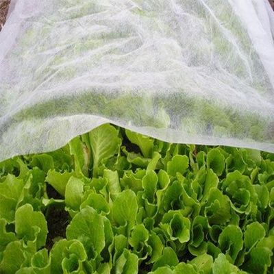 주문 Hygiene Agriculture Industry PP Nonwoven Fabric Hydropilic / Hydrophobic online manufacture