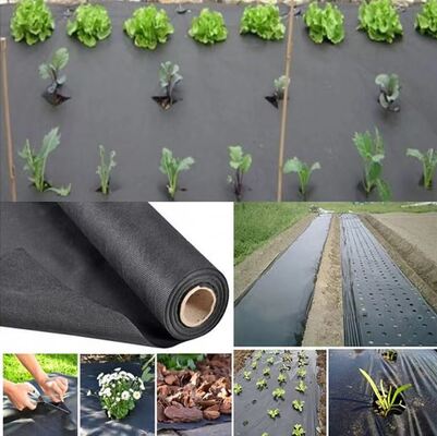 주문 Vegetable Agriculture Nonwoven Fabric Anti - frost Fruit Bag Winter Protect Use Nonwoven online manufacture