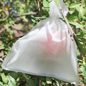 주문 ISO14000 고압 농업 비 길쌈된 직물 반대로 곰팡이 300g/M2 online manufacture