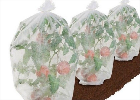 주문 Eco 친절한 농업 PP 비 길쌈된 직물 1% - 4% UV 대우된 OEM ODM online manufacture