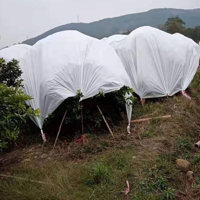 이름