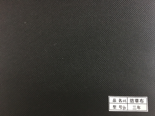 이름