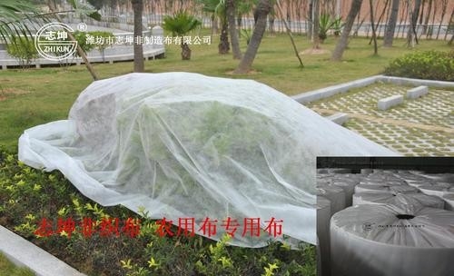 이름
