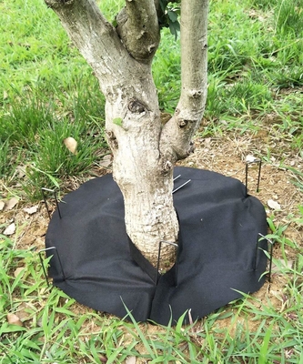 이름